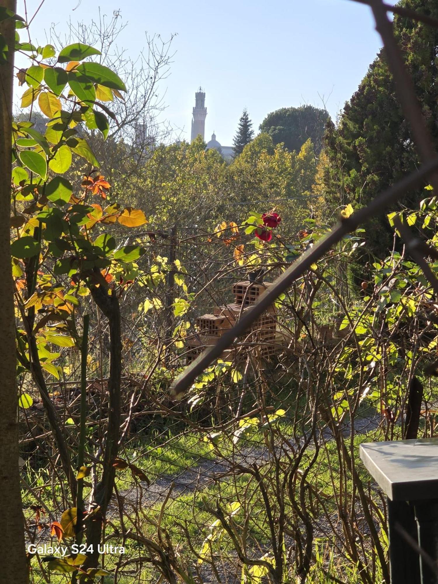 Podere Ponticini シエーナ エクステリア 写真